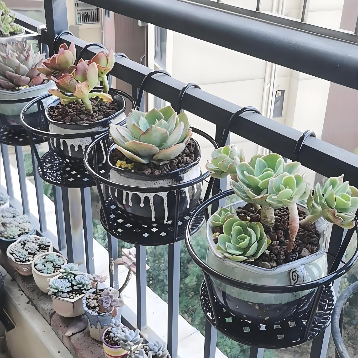Spider Plant Hanging - Keranjang Bunga Gantung Balkon Besi Tempa/Tempat