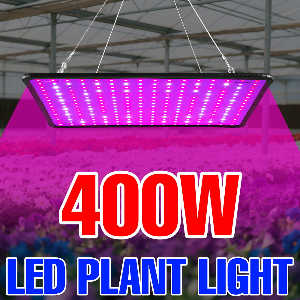 Echeveria Succulent - Lampu Tanam LED 400W Spektrum Penuh