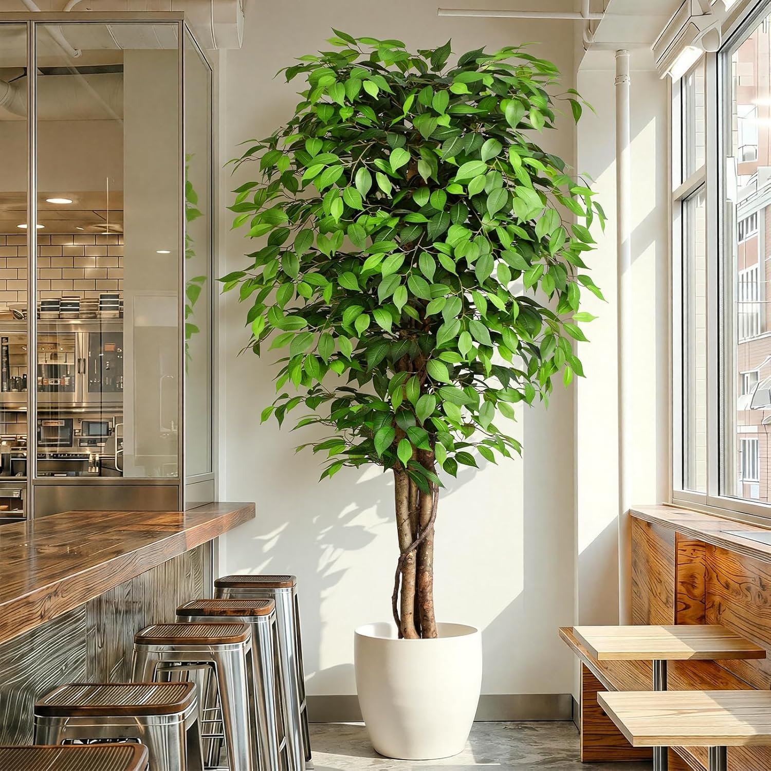 Ficus Lyrata Tree - Pohon Ficus Buatan yang Mirip Asli