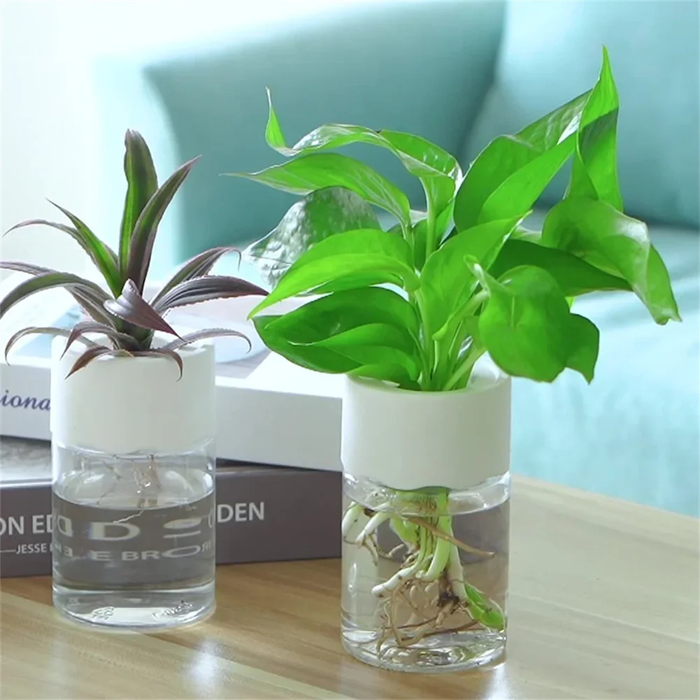 Aloe Vera Pot - Pot Bunga Hidroponik Mini Transparan, Vas