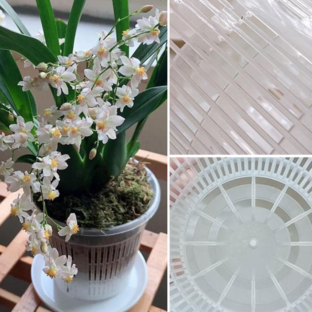 Aloe Vera Pot - Pot Tanaman Berjaring Transparan untuk Mengontrol