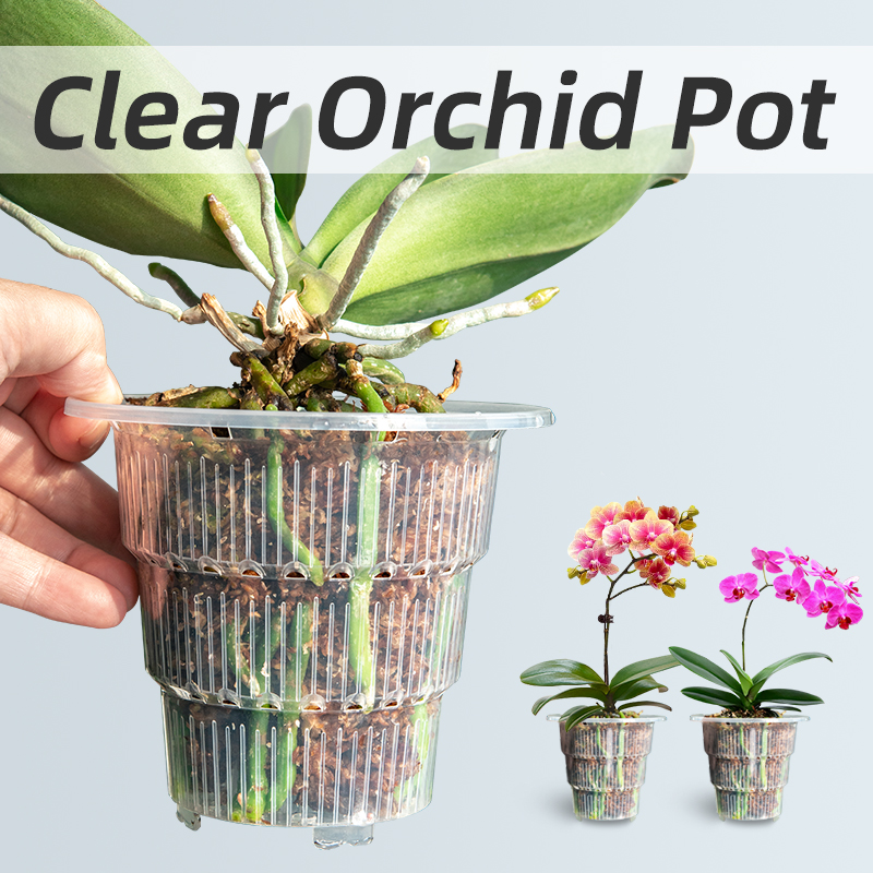 Aloe Vera Pot - Meshpot Pot Pot anggrek plastik bening