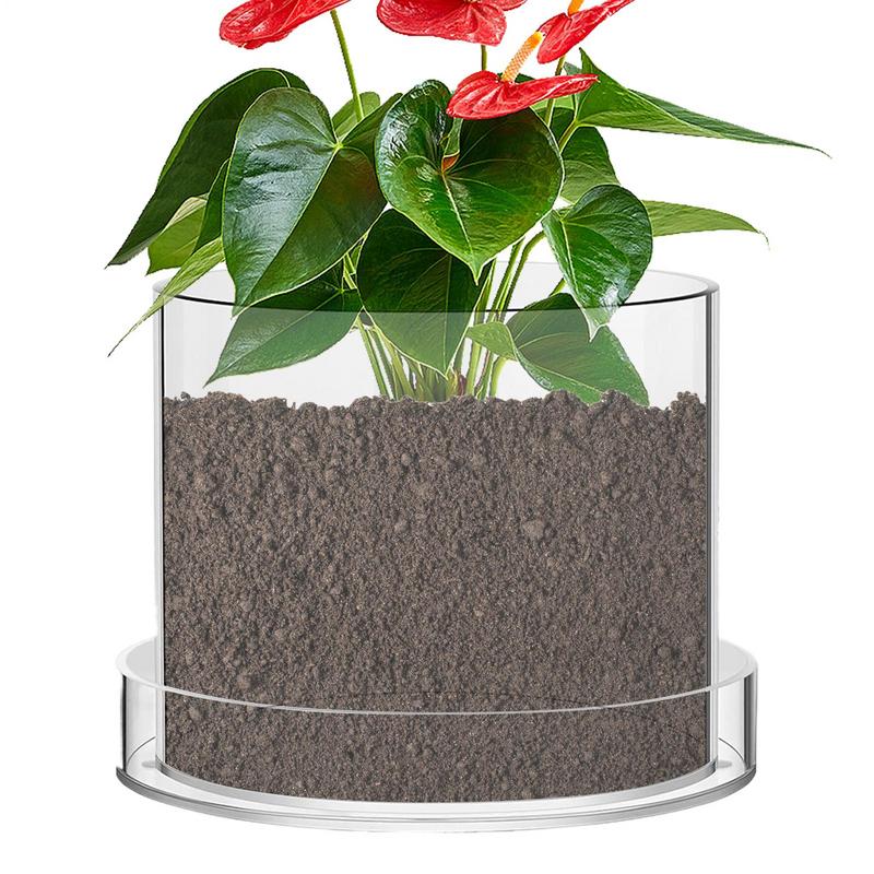 Aloe Vera Pot - Pot Tanaman Bening dengan Drainase Wadah