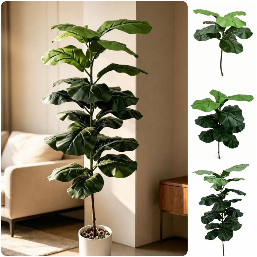 Ficus Lyrata Tree - 9/15/23 Daun Ficus Lyrata Buatan Ukuran
