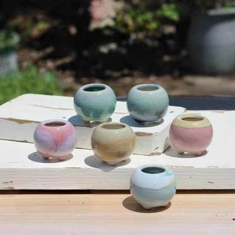 Echeveria Succulent - 6 Buah Pot Bunga Mini Sukulen
