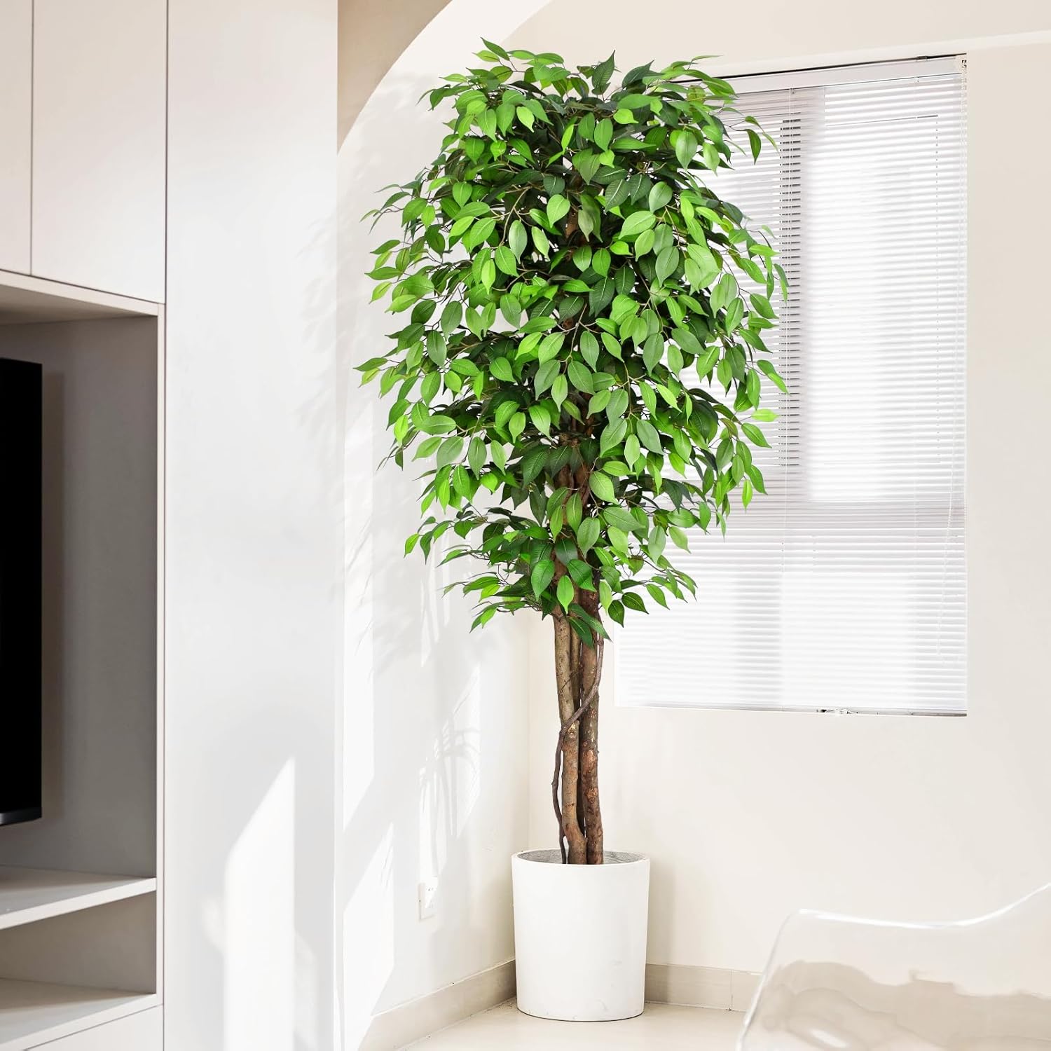 Pohon Ficus Buatan yang Mirip  - Ficus Lyrata Tree ulasan dan harga