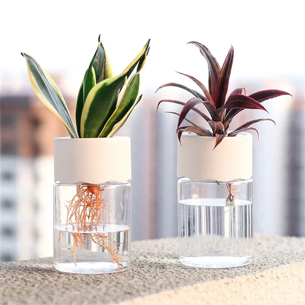 Pot Bunga Hidroponik Mini Tran - Aloe Vera Pot ulasan dan harga