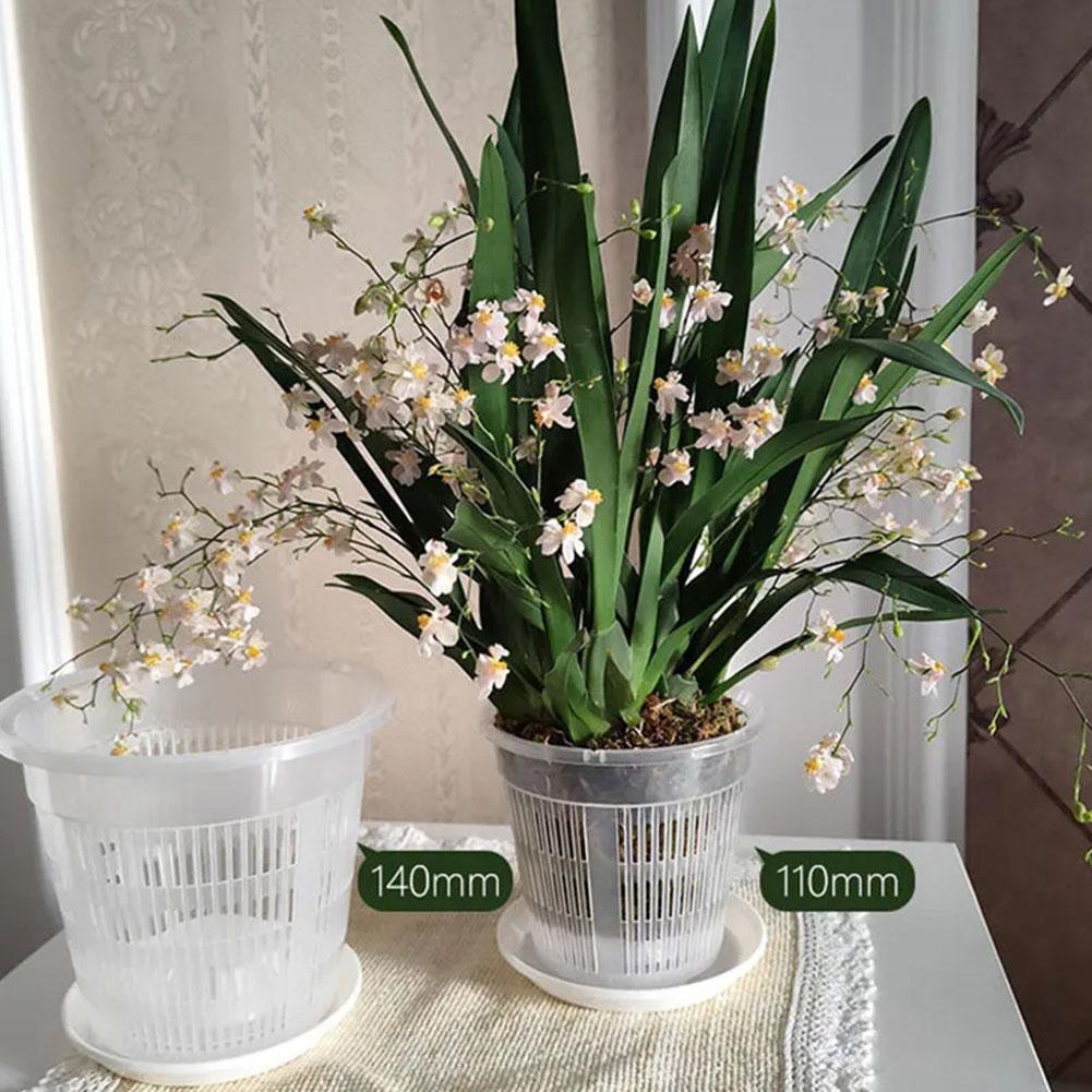 Pot Tanaman Berjaring Transpar - Aloe Vera Pot ulasan dan harga