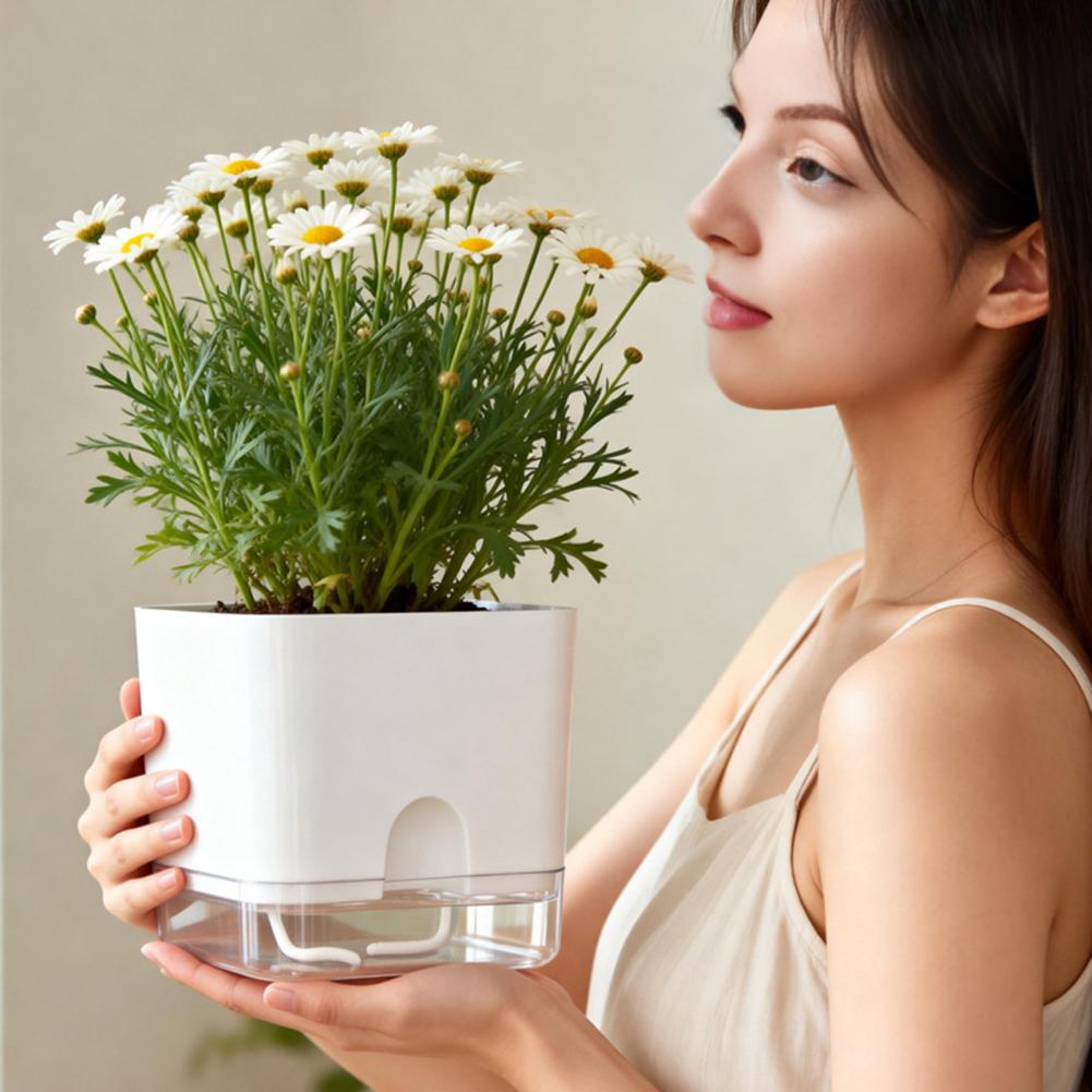 Pot Bunga Penyiram Otomatis Po - Aloe Vera Pot ulasan dan harga