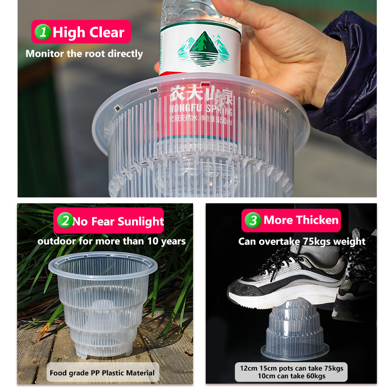 Meshpot Pot Pot anggrek plasti - Aloe Vera Pot ulasan dan harga
