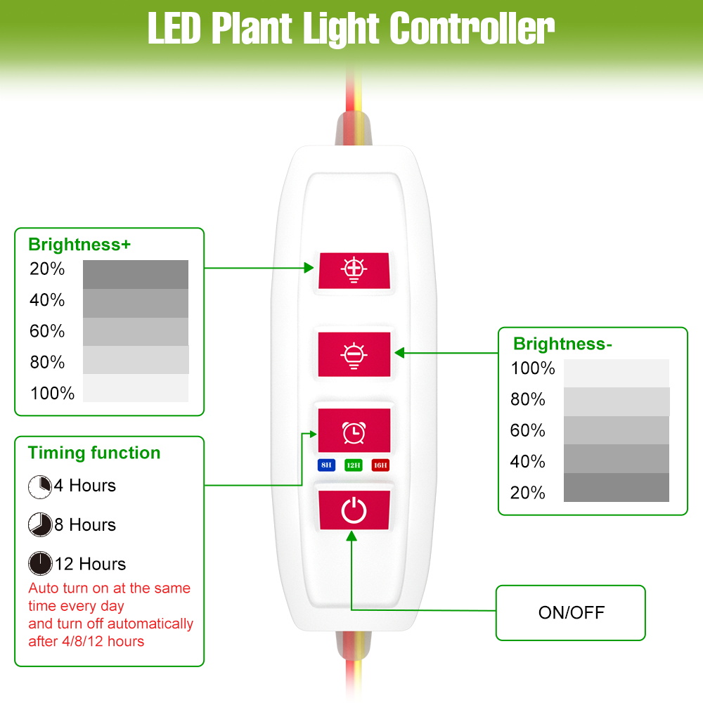 Lampu LED untuk Tanaman Indoor - Echeveria Succulent ulasan dan harga
