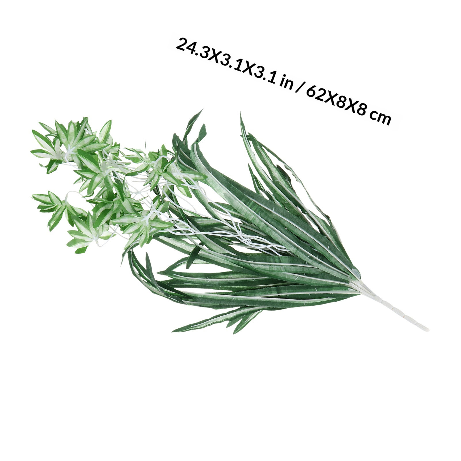 1Pcs Tanaman Chlorophytum Plas - Spider Plant Hanging ulasan dan harga