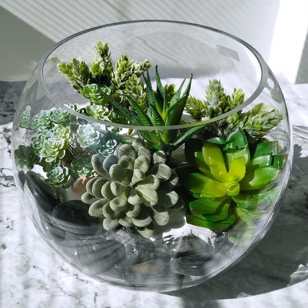 Tanaman sukulen buatan dekoras - Echeveria Succulent ulasan dan harga