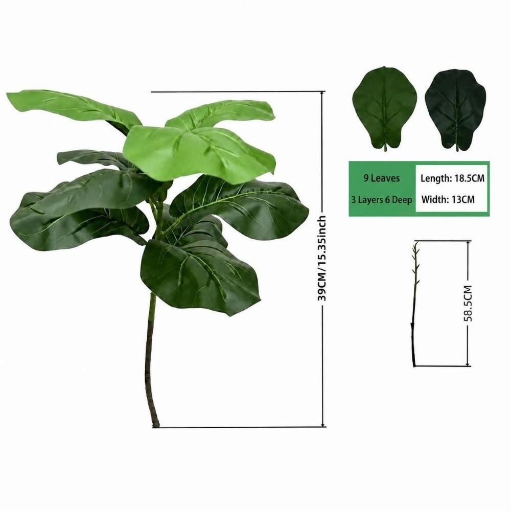 9/15/23 Daun Ficus Lyrata Buat - Ficus Lyrata Tree ulasan dan harga
