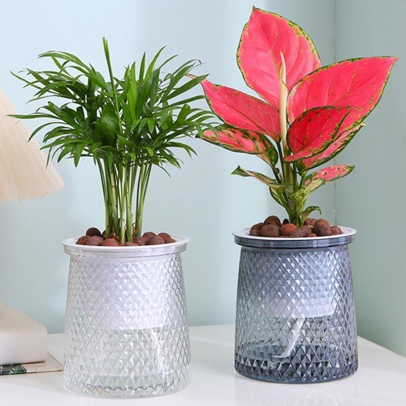 2024 Pot Bunga Penyiraman Mand - Aloe Vera Pot ulasan dan harga