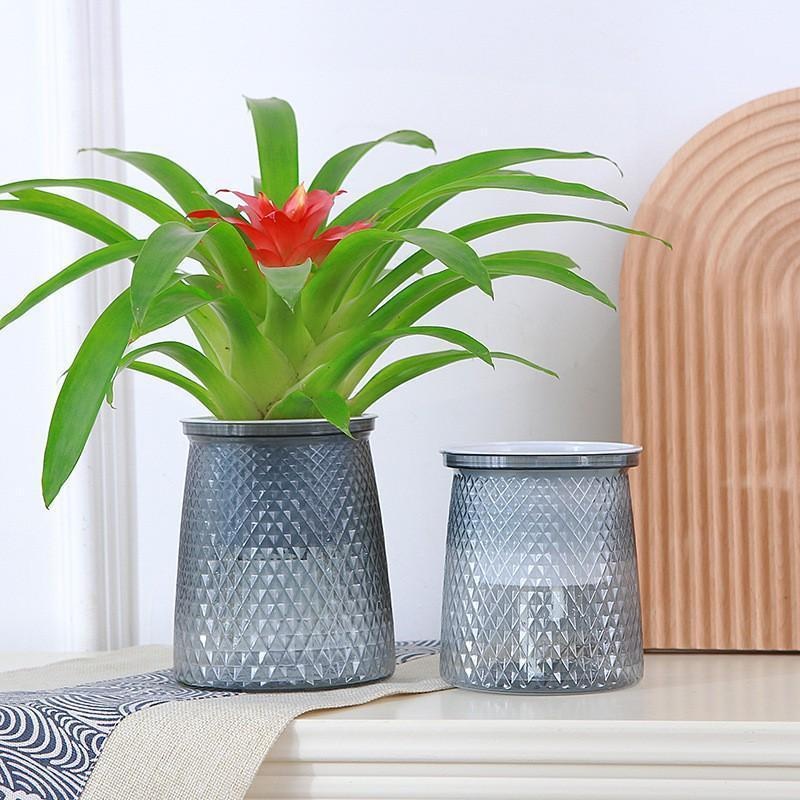 2024 Pot Bunga Penyiraman Mand - Aloe Vera Pot ulasan dan harga