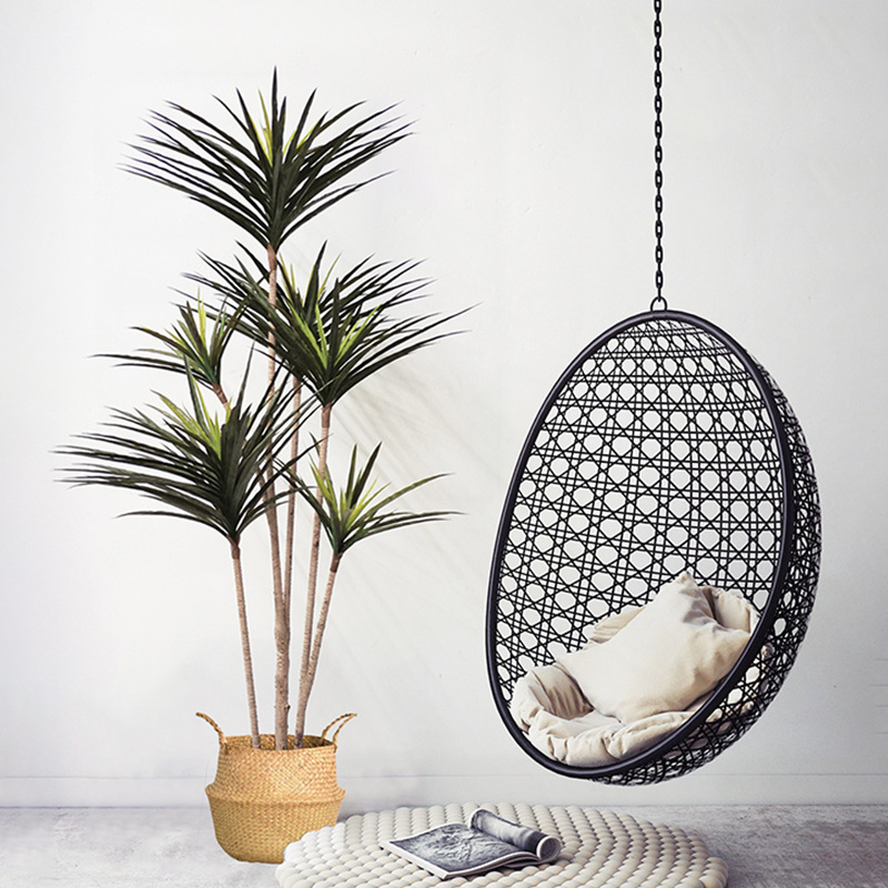 90-120Cm Tanaman Dracaena Buat - Ficus Lyrata Tree ulasan dan harga