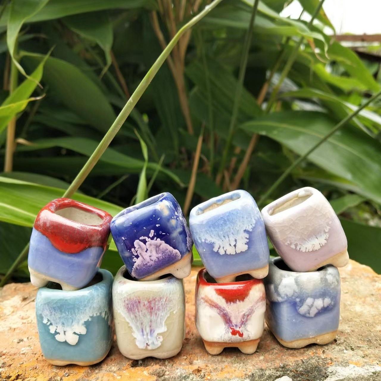 10 buah Pot bunga keramik Mini - Echeveria Succulent ulasan dan harga