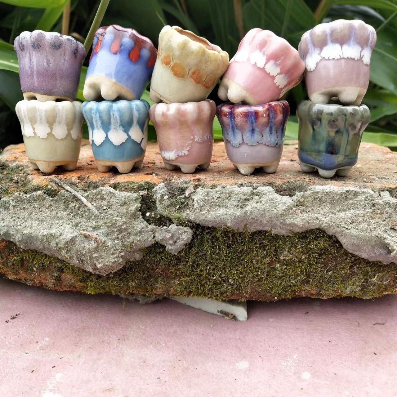 10 buah Pot bunga keramik Mini - Echeveria Succulent ulasan dan harga