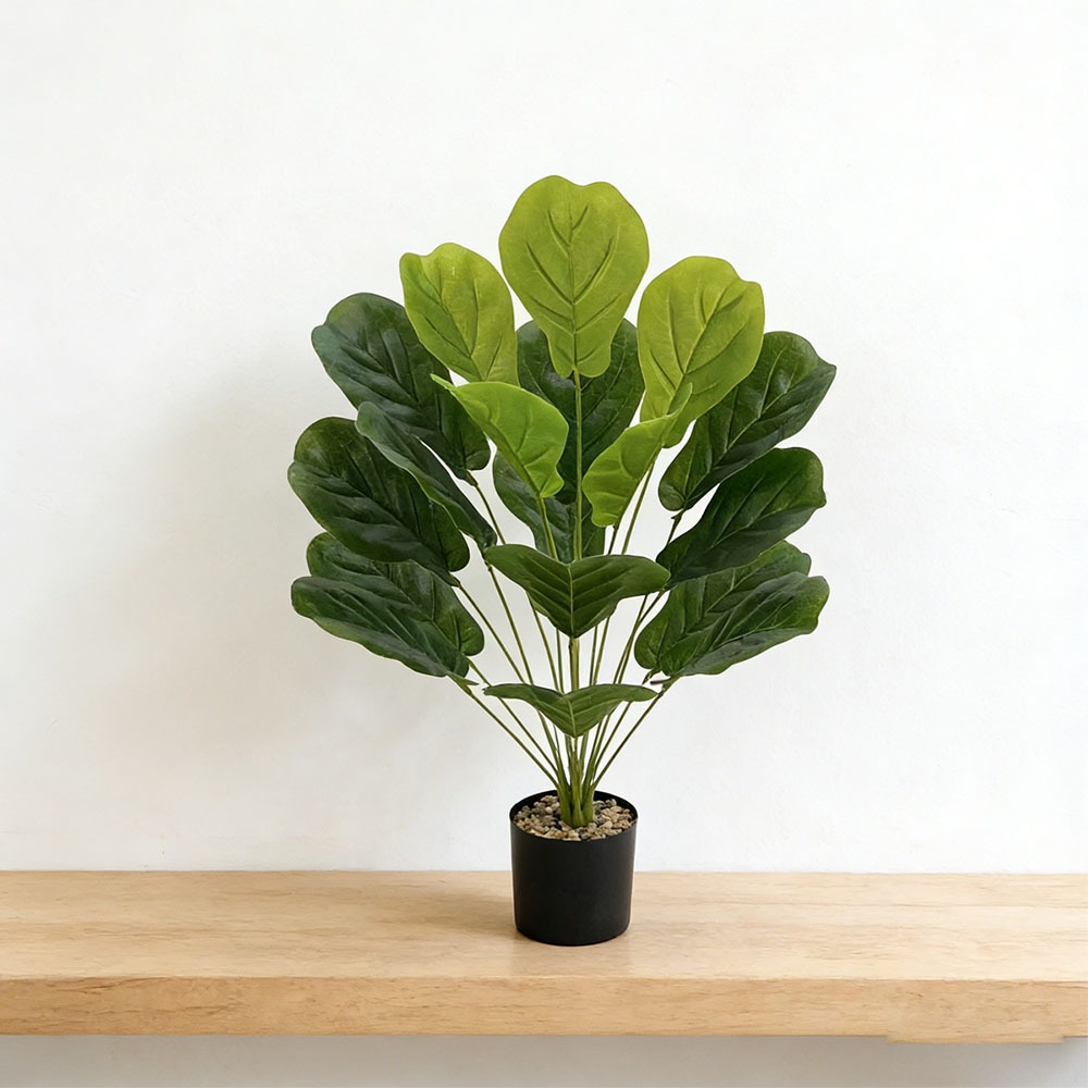 1 buah Ficus Lyrata Buatan 75c - Ficus Lyrata Tree ulasan dan harga