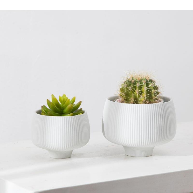 Vas Keramik Garis-garis Multiw - Aloe Vera Pot ulasan dan harga