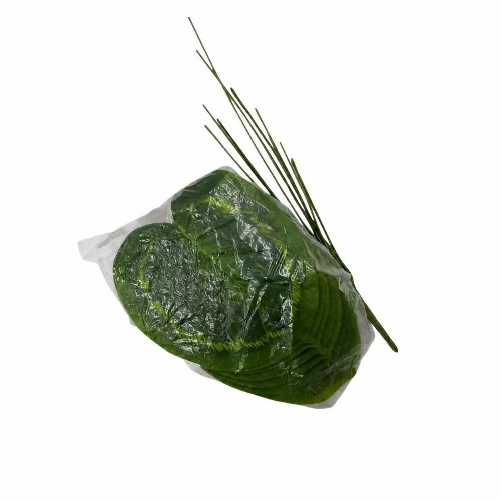 9/15/23 Daun Ficus Lyrata Buat - Ficus Lyrata Tree ulasan dan harga