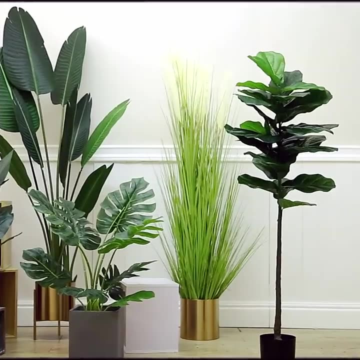 Pohon Palem Simulasi Tanaman B - Ficus Lyrata Tree ulasan dan harga