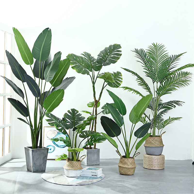 Pohon Palem Simulasi Tanaman B - Ficus Lyrata Tree ulasan dan harga