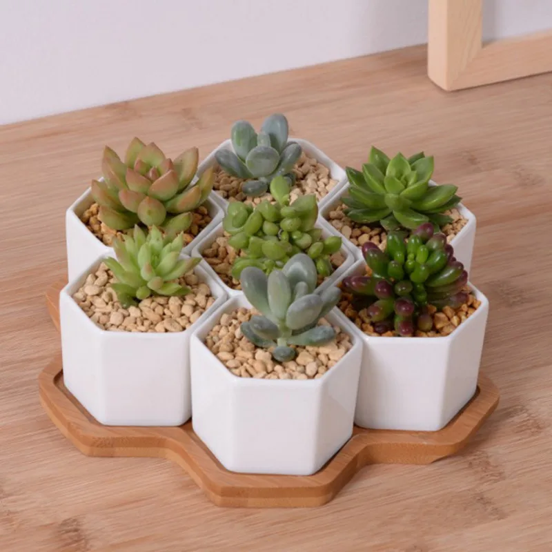 Set 4/7/9/10 Pot Bunga Segi En - Aloe Vera Pot ulasan dan harga