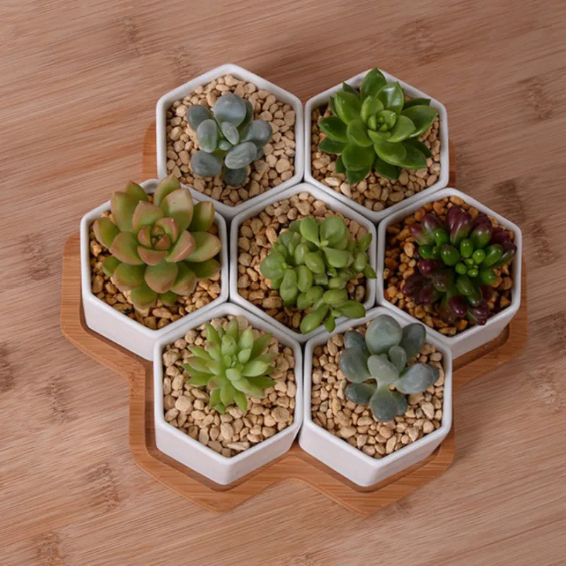 Set 4/7/9/10 Pot Bunga Segi En - Aloe Vera Pot ulasan dan harga