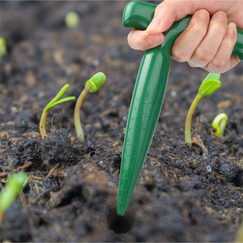 Set alat berkebun Mini, papan  - Echeveria Succulent ulasan dan harga