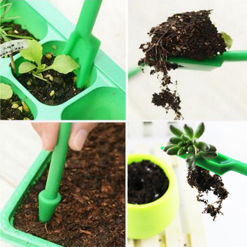 Set alat berkebun Mini, papan  - Echeveria Succulent ulasan dan harga