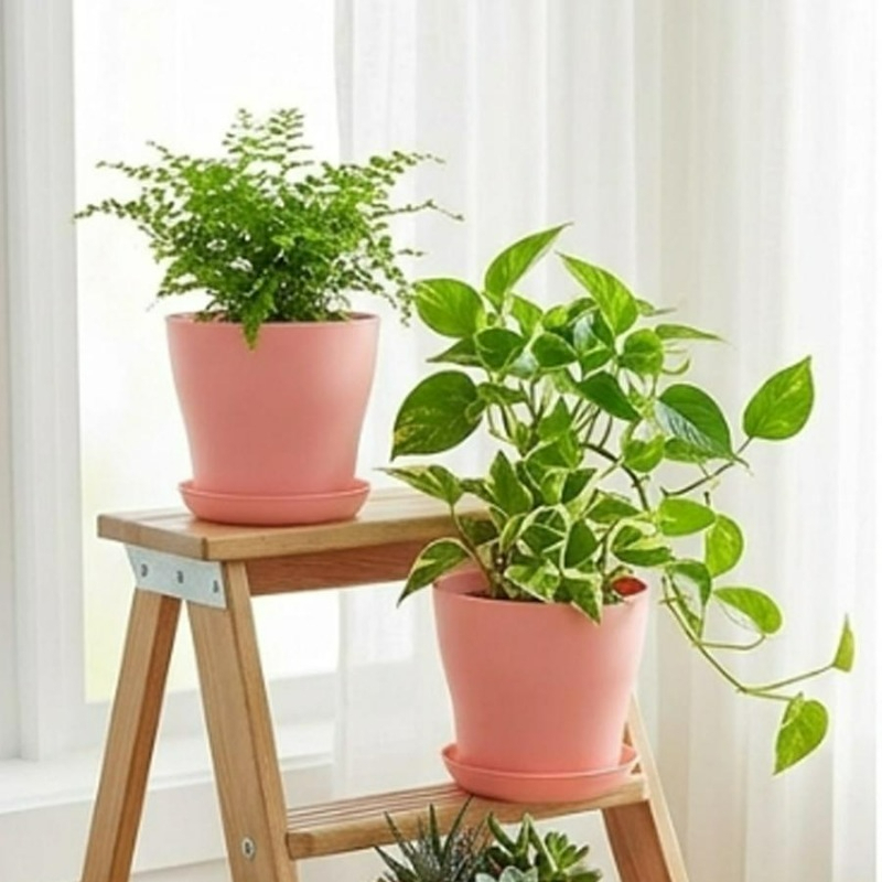 Set Pot Tanaman dengan Lubang  - Aloe Vera Pot ulasan dan harga