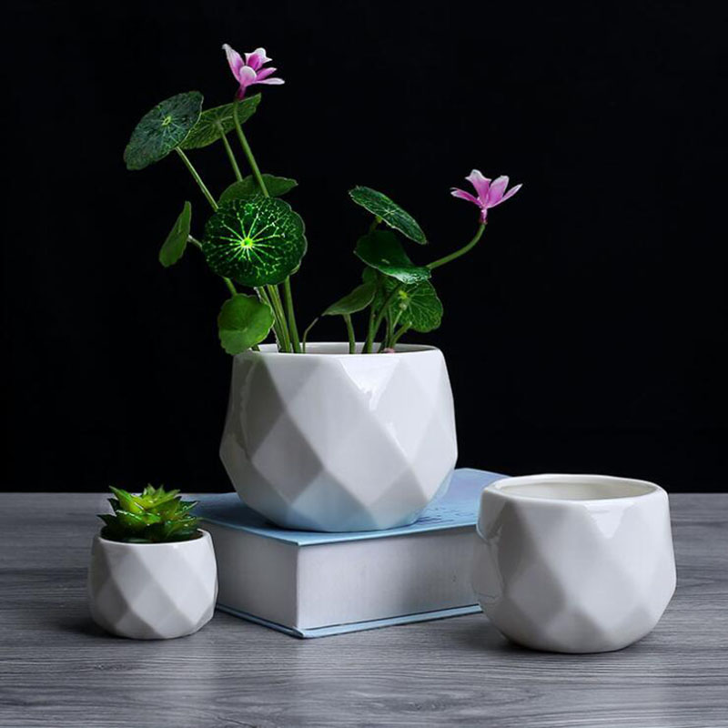 Pot Bunga Polihedron Porselen  - Aloe Vera Pot ulasan dan harga