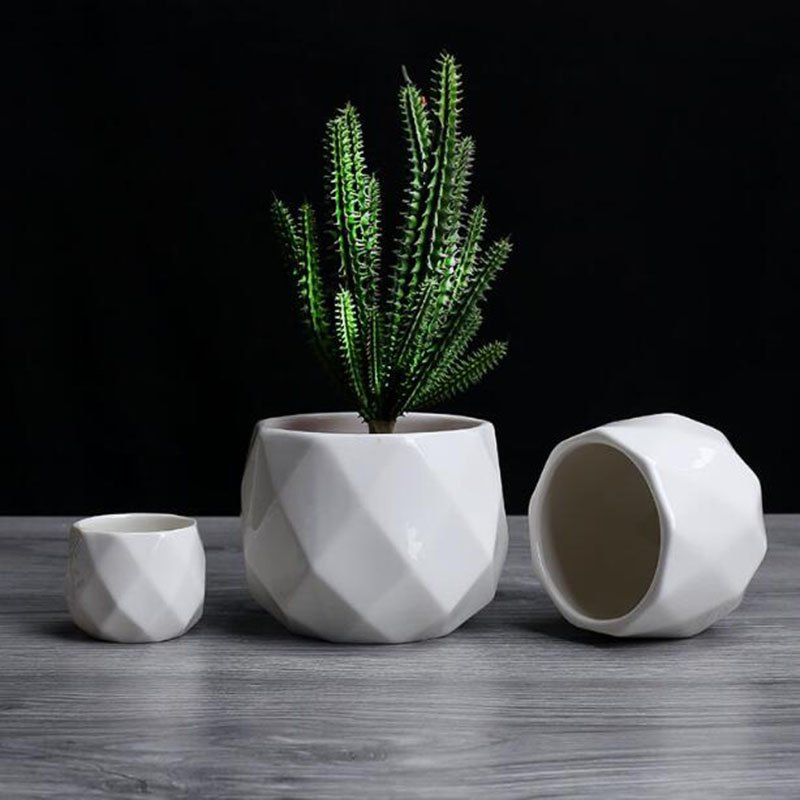 Pot Bunga Polihedron Porselen  - Aloe Vera Pot ulasan dan harga
