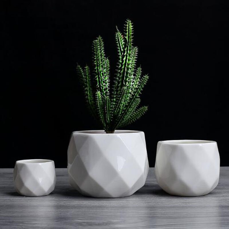 Pot Bunga Polihedron Porselen  - Aloe Vera Pot ulasan dan harga