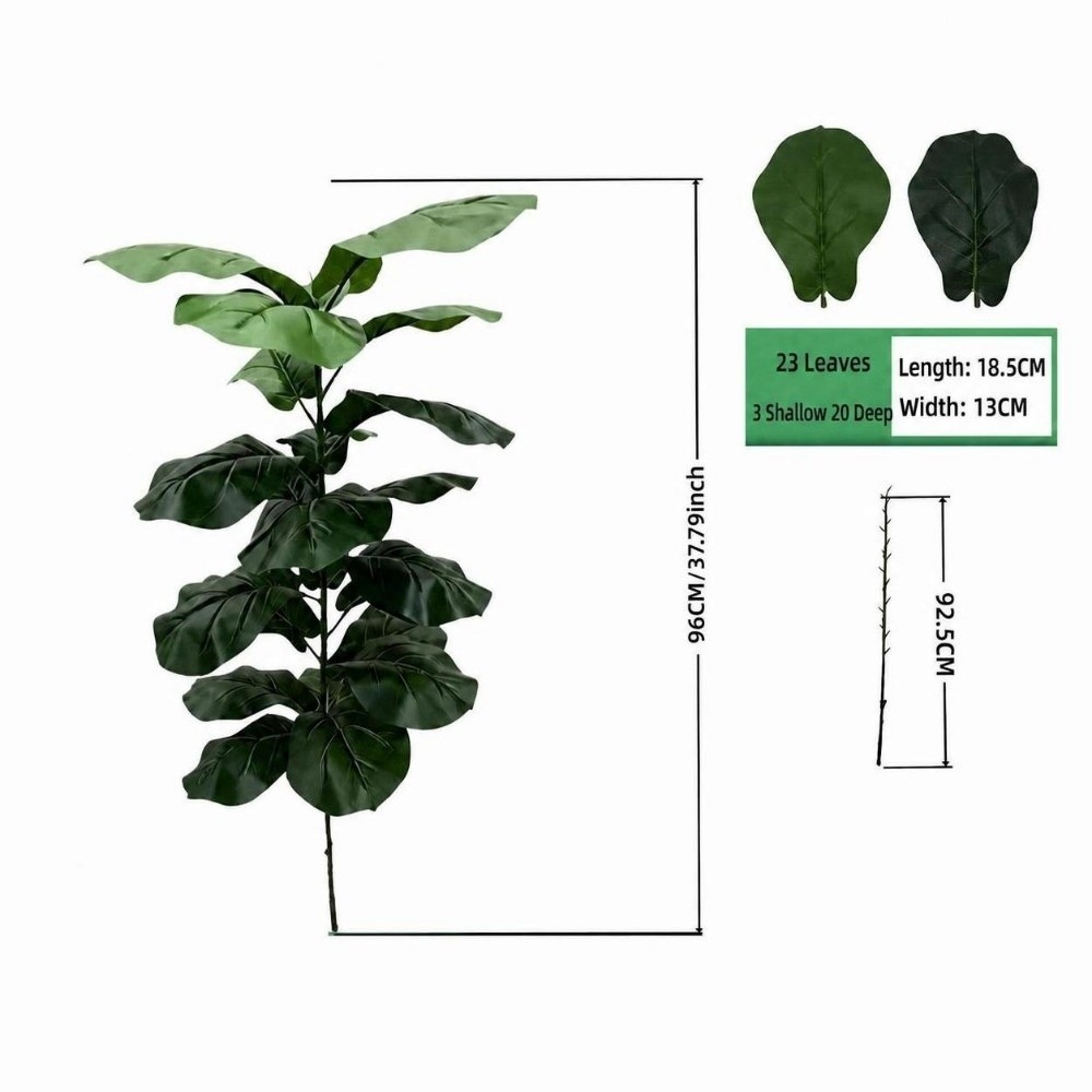 9/15/23 Daun Ficus Lyrata Buat - Ficus Lyrata Tree ulasan dan harga